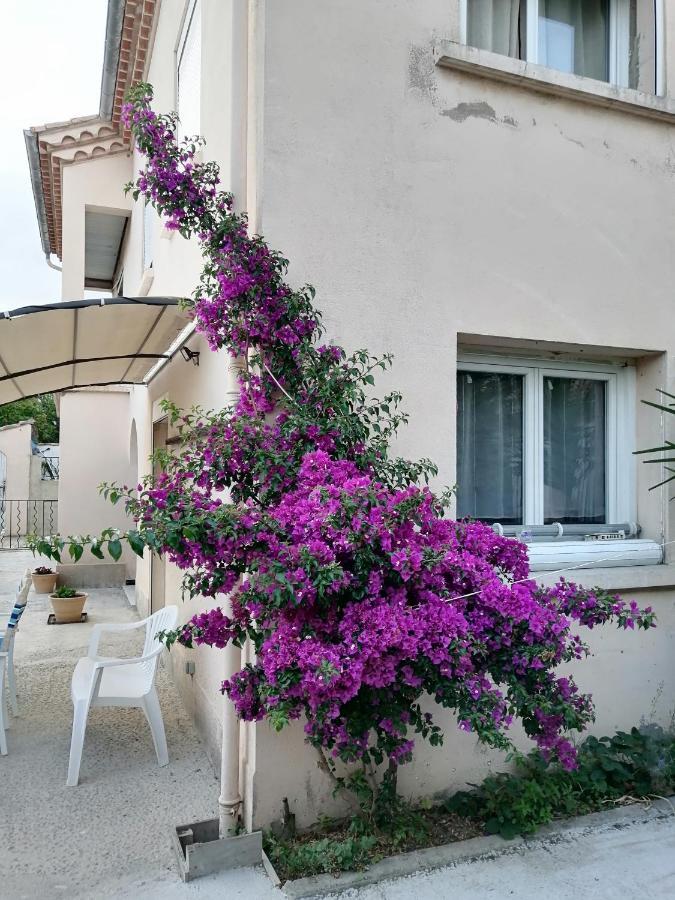 La Maison De 6Fran Appartement 2 Chaleureux Et Calme Ambiance Familiale Valros Kültér fotó